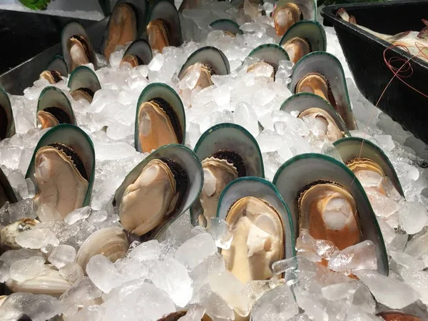 新鲜生牡蛎和冰块 — 图库照片