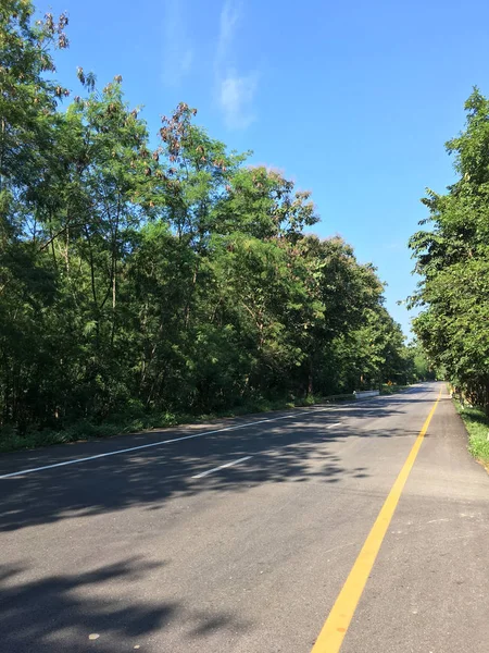 美丽的地方柏油路方式到自然的雨季与树木森林 蓝天和山脉的背景在泰国北部 — 图库照片