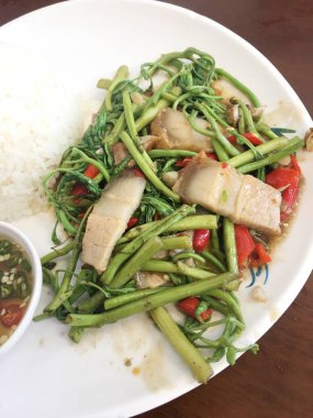 Asya yemekleri konsepti. Lezzetli yemek. Yakın çekim.