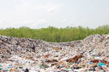 Dağ çöplüğü, büyük ve bozulmuş çöp yığını, pis koku ve zehirli kalıntı yığını, atık plastik şişeler ve çöp veya çöp sahasındaki diğer plastik atık alanları. Kirlilik kavramı.