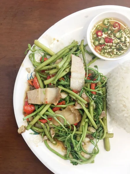 Asiatisches Ernährungskonzept Leckere Mahlzeit Nahaufnahme — Stockfoto