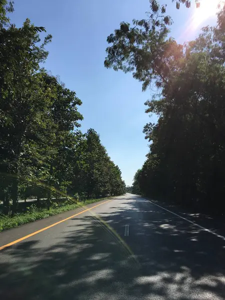 Beautiful Local Asphalt Road Way Natural Rainy Season Trees Forest — Stock Photo, Image