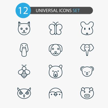 Zooloji simgeler penguen, baykuş, ayı ve diğer dalgıç öğeleri ile ayarlayın. İzole vektör çizim zooloji simgeler.