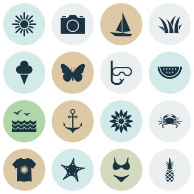 Sezon simgeler çimen, mayolar, deniz yıldızı ve diğer ananas öğeleri ile ayarlayın. İzole vektör çizim sezon simgeler.