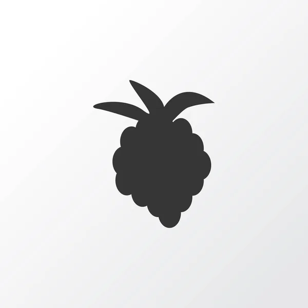Raspberry pictogram symbool. Premium kwaliteit geïsoleerd blackberry element in trendy stijl. — Stockvector