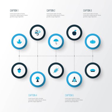 Mevsimlik simgeler kümesi Rüzgar, çilek, buğday ve diğer yaprak öğeleri ile renkli. İzole vektör çizim mevsimlik simgeler.