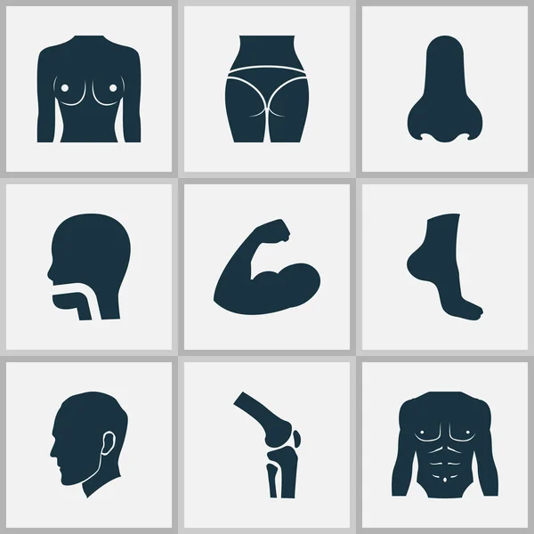 Partie icônes sertie d'articulations, cavité buccale, poitrine et autres éléments du genou. Isolé vectoriel illustration partie icônes . — Image vectorielle
