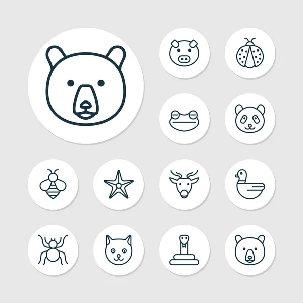 Dierlijke pictogrammen instellen met bee, slang, eend en andere elementen van de beer. Geïsoleerde vector illustratie dierlijke pictogrammen. — Stockvector