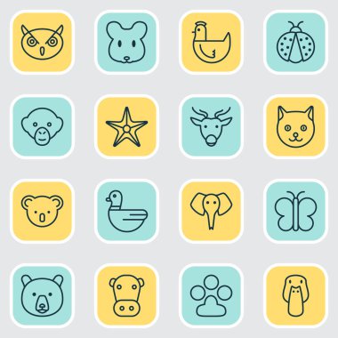 Doğa simgeler kedi, deniz yıldızı, kelebek ve diğer ördek öğeleri ile ayarlayın. İzole vektör çizim doğa simgeler.