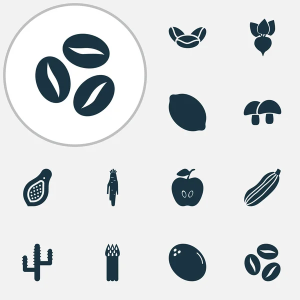 Vegetable icons set with coffee beans, papaya, citrus and other parsnip elements. Isolated  illustration vegetable icons.