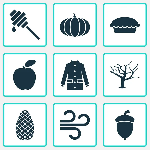 Iconos de otoño con árbol, cono de pino, fruta y otros elementos de madera. Iconos de otoño de ilustración vectorial aislado . — Archivo Imágenes Vectoriales