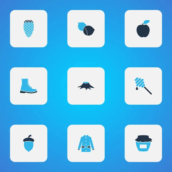 Sezónní ikony barevné sada s kabát, med, jablko a jiné dřevěné prvky. Izolované vektorové ilustrace sezónní ikony. — Stockový vektor