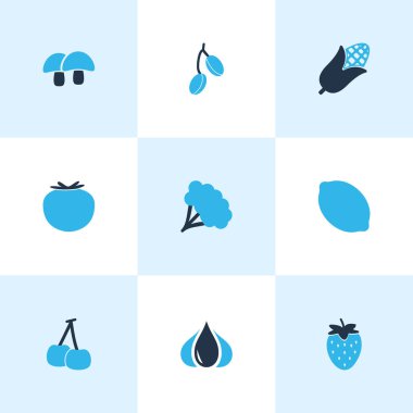 Gıda simgeler kümesi brokoli, domates, kiraz ve diğer limon öğeleri ile renkli. İzole vektör çizim gıda simgeler.