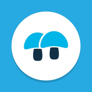 Meşe palamudu simgesi renkli sembol. Premium kalite izole Özet olarak öğe trendy tarzı.