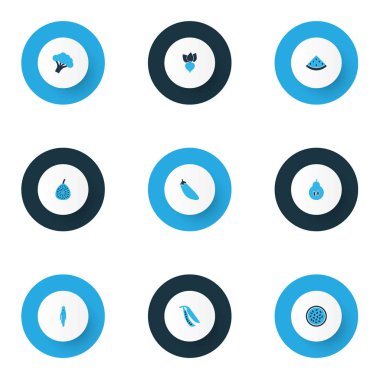 Meyve simgeler kümesi Düşes, marakuja, kavun ve diğer patlıcan öğeleri ile renkli. İzole vektör çizim meyve simgeler.