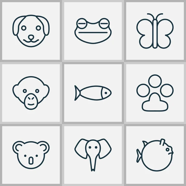 Natuur pictogrammen instellen met koala, kikker, schaal-en schelpdieren en andere elementen van de vlinder. Geïsoleerde vector illustratie natuur pictogrammen. — Stockvector