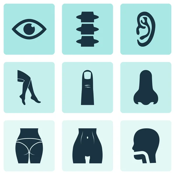 Part icons set with belly, butt, oral cavity and other foot elements. Isolated vector illustration part icons. — Stock Vector