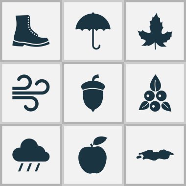 Sezon simgeler yağmur, meyve, su birikintisi ve kızılcık diğer öğeleri ile ayarlayın. İzole vektör çizim sezon simgeler.