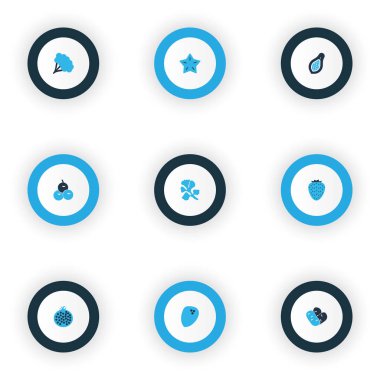 Sebze simgeler kümesi papaya, maydanoz, brokoli ve diğer berry öğeleri ile renkli. İzole illüstrasyon sebze simgeler.