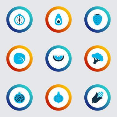 Gıda simgeler kümesi ampul, Mısır, beslenme ve diğer brokoli öğeleri ile renkli. İzole vektör çizim gıda simgeler.