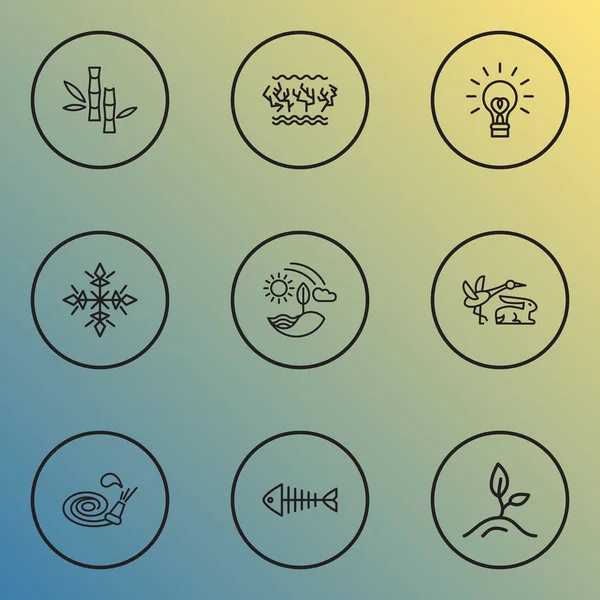 Ecology icons line style set with fish bone, fauna, snow and other snowflake elements. Isolated  illustration ecology icons. — Stock Photo, Image