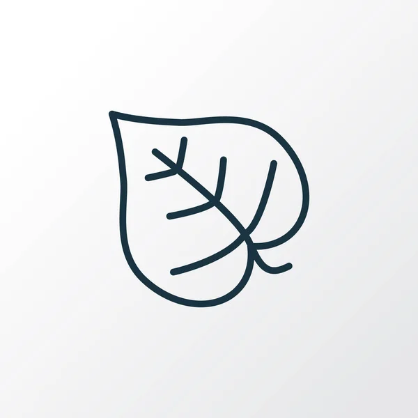 Símbolo de linha de ícone de folha de Lilás. Elemento de folha de lavanda isolada de qualidade premium em estilo moderno. — Fotografia de Stock