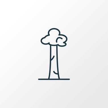 Baobab sembolü. Kaliteli kalite marula ögesi modada izole edildi.