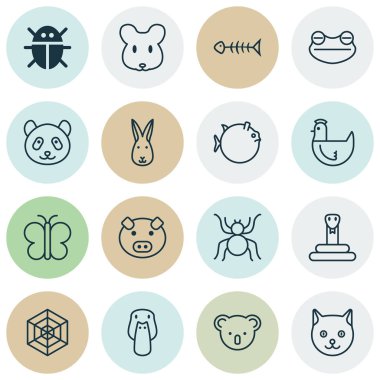 Hayvanat Bahçesi simgeler böcek, örümcek, kurbağa ve diğer örümcek öğeleri ile ayarlayın. İzole vektör çizim Hayvanat Bahçesi simgeler.