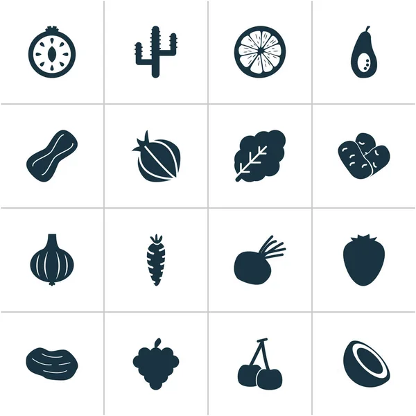 Food-Ikonen mit Kakteen, Nelken, Karotten und anderen Alliumelementen. isolierte Vektorabbildung Lebensmittel-Symbole. — Stockvektor