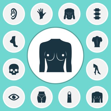 Bölüm Icons set ile göğüs, omurga, kafatası ve diğer meme öğeleri ile. İzole illüstrasyon bölümü simgeler.
