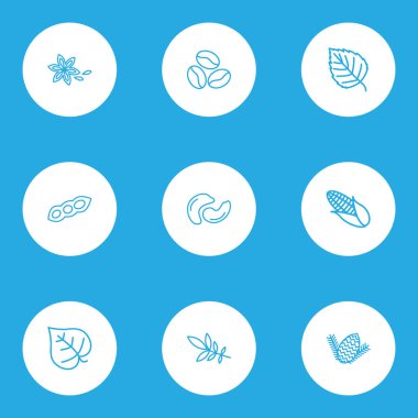 Dünya simgeleri stil huş ağacı, Lila yaprak, çam fıstığı ve diğer linden öğeleri kümesi satır. İzole illüstrasyon dünya simgeleri.