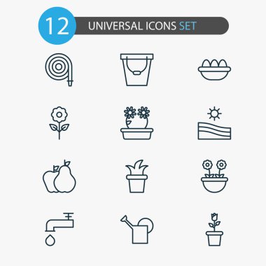 Bahçe simgeler çiftlik alanı, Bauer, şakayık ve diğer çiçek öğeleri ile ayarlayın. İzole vektör çizim Bahçe simgeler.