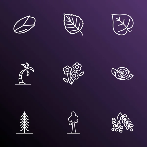 Iconos del mundo conjunto de estilo de línea con pistacho, sequoia, abeto y otros elementos de cacahuete. Iconos del mundo de la ilustración aislada . — Foto de Stock