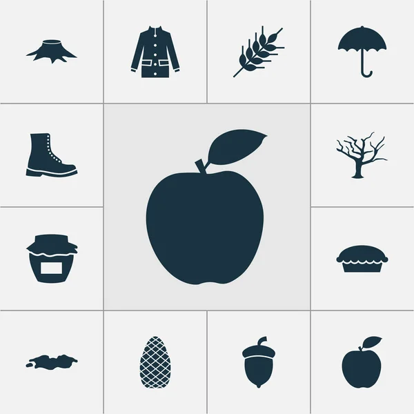 Seasonal icons set with boot, apple pie, oak nut and other acorn elements. Isolated  illustration seasonal icons.