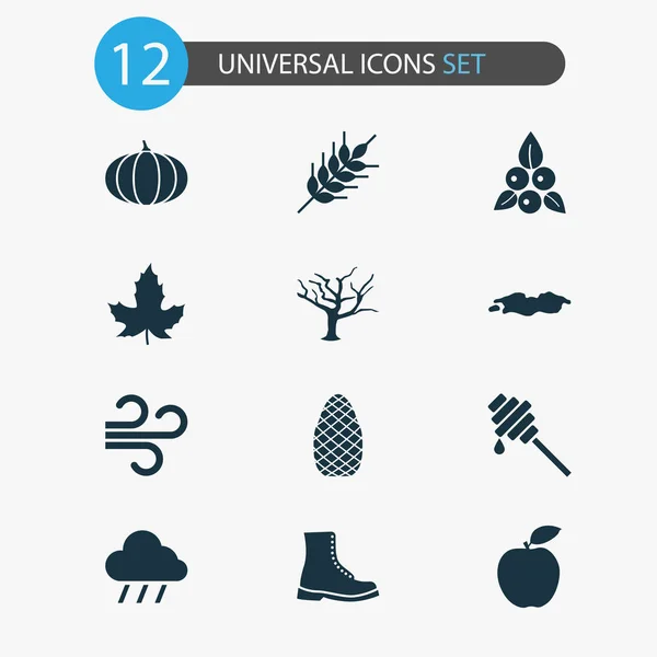 Podzimní ikony naběračka medu, boot, louže a další brusinkové prvky. Izolované ilustraci podzimní ikony. — Stock fotografie