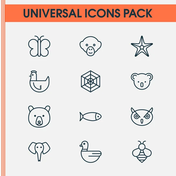 Zoo icons set with bee, seafood, spider web and other marsupial elements. Isolated  illustration zoo icons.
