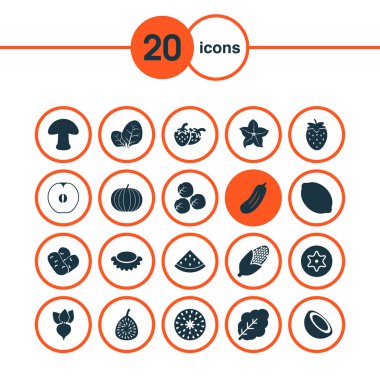 Gıda Icons set ile kabak, Mısır, meyve ve diğer cocoanut öğeleri ile. İzole vektör çizim gıda simgeler.