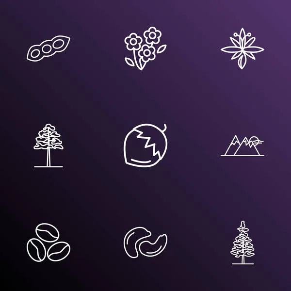 Landscape icons line style set with soy bean, cashew, daisy and other fir elements. Isolated  illustration landscape icons. — Stock Photo, Image