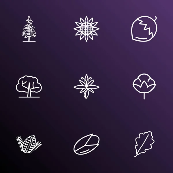 Linjestil ekologi ikoner set med hazel nut, solros, lärk träd och andra ekologi element. Isolerade illustration ekologi ikoner. — Stockfoto