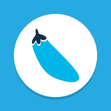 Patlıcan simgesi renkli sembol. Premium kalite izole patlıcan öğe trendy tarzı.