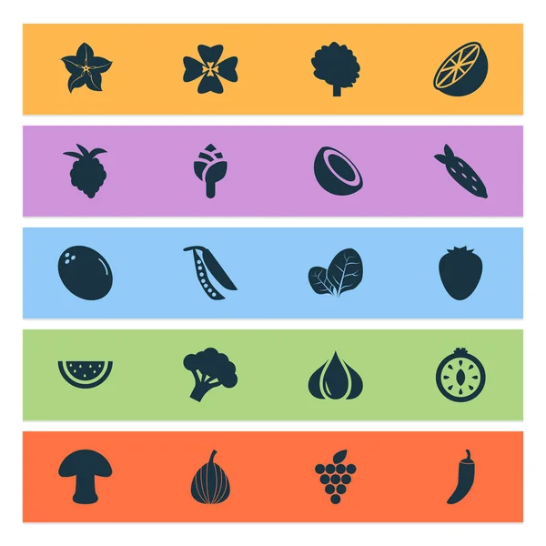 Ikony żywności zestaw z grzybami, Dziewica, Szczaw i inne elementy berry. Ilustracja na białym tle ikony żywności. — Zdjęcie stockowe