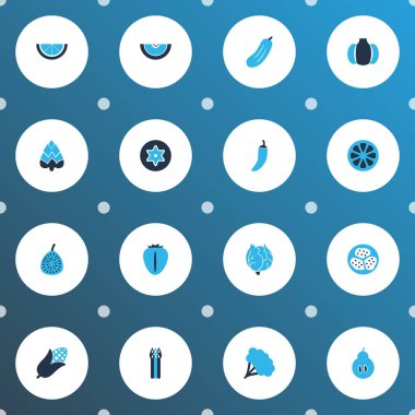 Sebze simgeler kümesi kornişon, brokoli, kavun ve diğer enginar öğeleri ile renkli. İzole vektör çizim sebze simgeler.