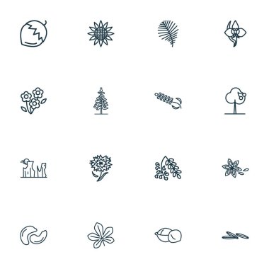 Doğa simgeler stil lavanta, orkide, Kanyon ve diğer beslenme öğeleri kümesi satır. İzole illüstrasyon doğa simgeler.