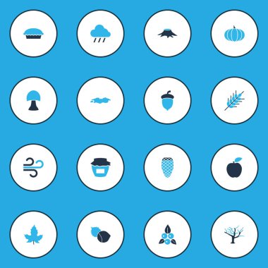 Mevsimlik Icons reçeli, ağaç, akçaağaç ve diğer cedar elemanları ile renkli set. İzole vektör çizim mevsimlik simgeler.