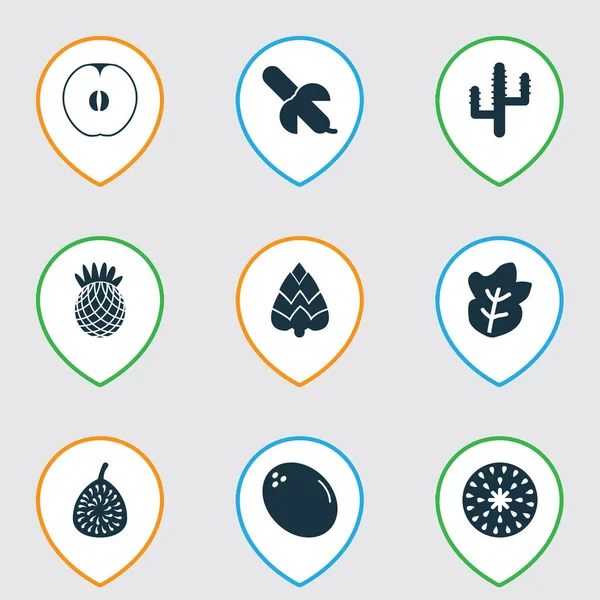 Conjunto de iconos vegetales con cactus, piña, higo y otros elementos saludables. Iconos de vegetales de ilustración aislada . — Foto de Stock