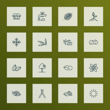 Uyum simgeler stil Bahçe budayıcı, kar, güneşli havalarda ve diğer molekül öğeleri kümesi satır. İzole illüstrasyon uyum simgeler.