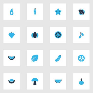 Meyve simgeler kümesi mantar, soğan, kakao çekirdekleri ve diğer kabak öğelerle birlikte renkte. İzole vektör çizim meyve simgeler.