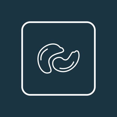 Kaju ikonu çizgisi sembolü. Moda tarzında birinci kalite izole edilmiş besin ögesi.