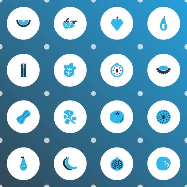 Gıda simgeler kümesi kavun, meyve, Granat ve diğer marul öğeleri ile renkli. İzole vektör çizim gıda simgeler.