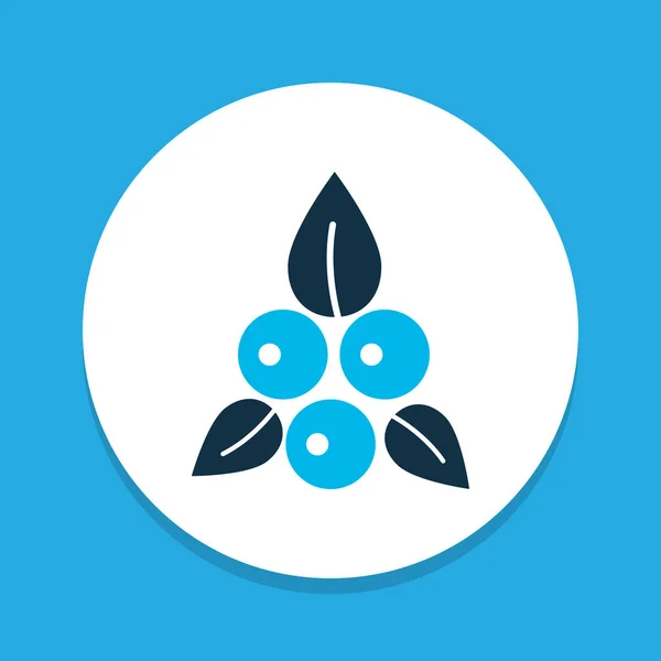 Bessen pictogram gekleurde symbool. Premium kwaliteit geïsoleerd blueberry element in trendy stijl. — Stockvector